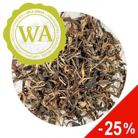 PA PAE Forest Amber - sleva 25%